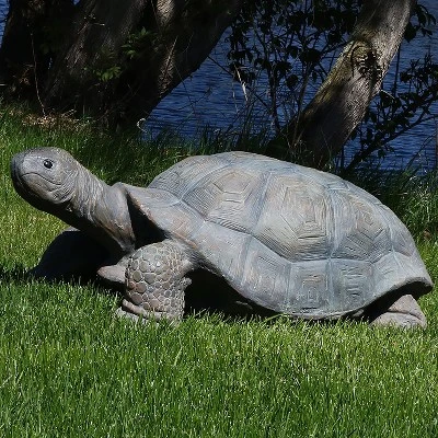 Sunnydaze Decor Sunnydaze Indoor/Outdoor Lifelike Large Todd The Tortoise Patio Garden Yard Entryway Decorative Statue - 30"