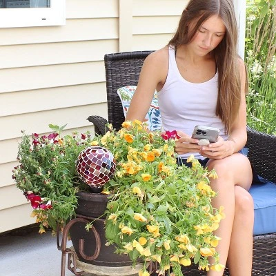 Sunnydaze Decor Sunnydaze Glass Mosaic Watering Globe For Plants And Flowers - Image 6