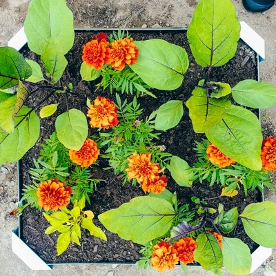 Sunnydaze Decor Sunnydaze Outdoor Lawn And Garden Galvanized Steel Square Raised Vegetable Garden Or Flower Bed Planter Kit - 22" - Silver - Image 3